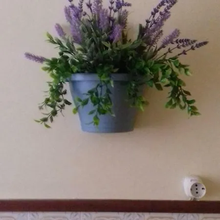 Tita's House Διαμέρισμα